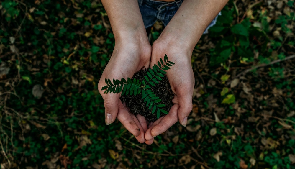 A person holding soil and a small plant, symbolizing sustainable and eco-friendly practices in product development.